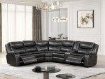 GATRIA
SECTIONAl